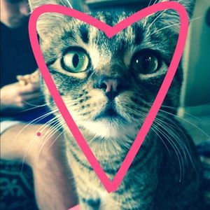 Meet your Posher, Avery